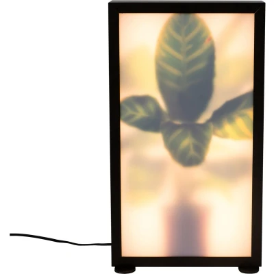 Afbeelding van Zuiver Grow vloerlamp 51 cm M