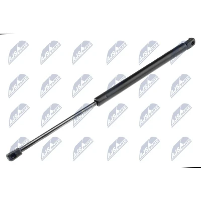 Afbeelding van NTY AE PL 033 Gasveer achterklep 700 482