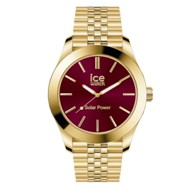 Afbeelding van ICE Watch steel Gold burgundy Small SOLAR 3H 023793