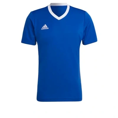 Afbeelding van adidas Heren Entrada 22 Jersey, koningsblauw, L lang
