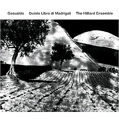 Afbeelding van The Hilliard Ensemble Gesualdo Quinto Libro Di Madrigal (CD)