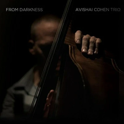 Afbeelding van Avishai Trio Cohen From Darkness (LP)