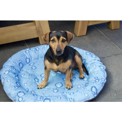 Afbeelding van Nobby Cooling Donut Bubble 66 cm Hond