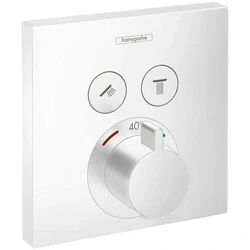 Afbeelding van Hans Grohe Hg Show Sel Douchethermo Afb Inb Mt Wt
