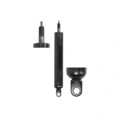 Afbeelding van STABILUS 729507 Gasveer achterklep Zonder spoiler Kofferruimtedeksel