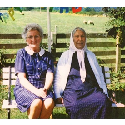 Afbeelding van Dauwd Theory Of Colours (CD)