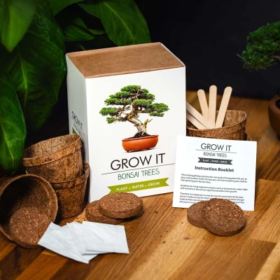Afbeelding van Gift Republic Sow &amp; Co Kweekset Bonsai Boompjes