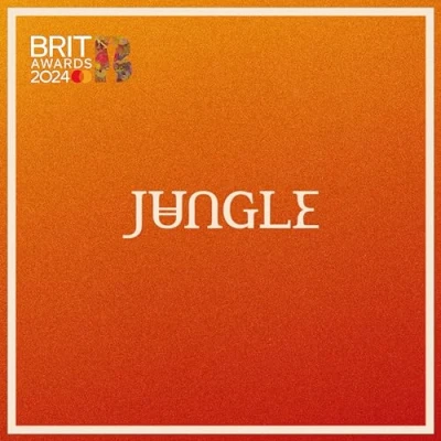 Afbeelding van Jungle Volcano (LP)