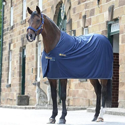 Afbeelding van Bucas Prize Cooler 145/198 Navy/Gold