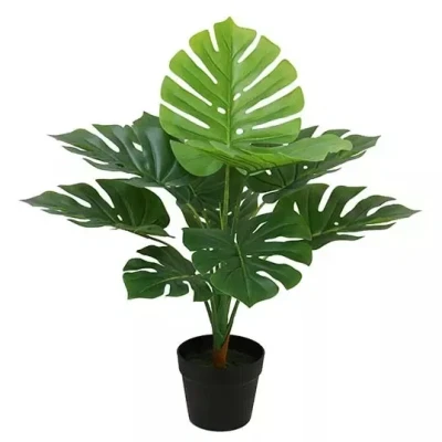Afbeelding van Monstera 70 cm kunstplant Buitengewoon de Boet