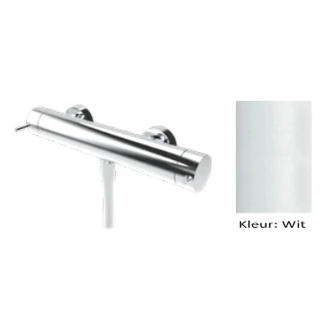 Afbeelding van Waterevolution Flow douchethermostaat met douchegarnituur rond wit T140TNRBR