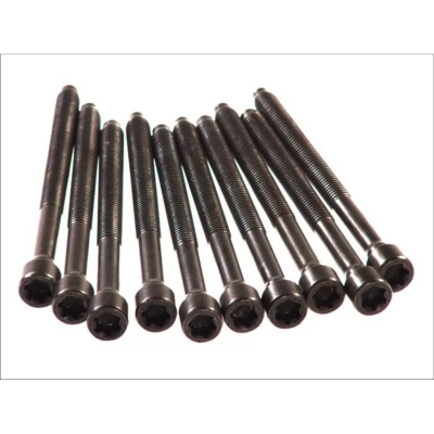 Afbeelding van ELRING 290.440 Cilinderkopbouten Binnenprofiel (Ribe CV) VOLKSWAGEN: Golf 5, Passat B6 Variant, Plus / Crossgolf, AUDI: A4 Saloon