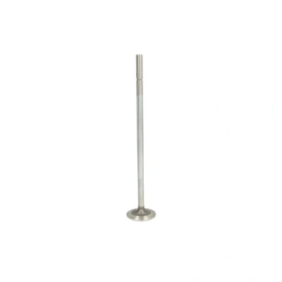 Afbeelding van TRW Engine Component Inlaatklep 16211