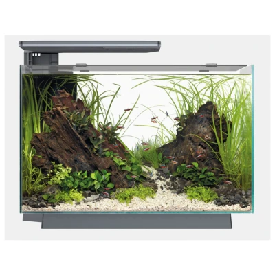 Afbeelding van Superfish Quadro 70 Pro Zwart