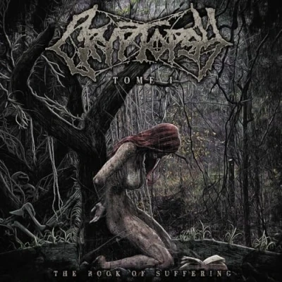 Afbeelding van The book of suffering