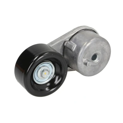 Afbeelding van Gates Spanrol (poly) V riem T38378