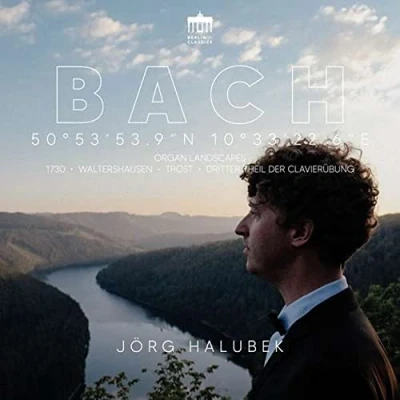 Afbeelding van Jörg Halubek J.S. Bach: Organ Landscapes (2 CD)