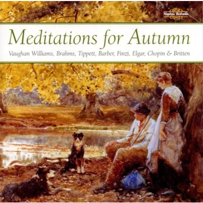 Afbeelding van Various Artists Meditations For Autumn (CD)