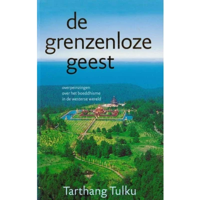 Afbeelding van De grenzeloze geest