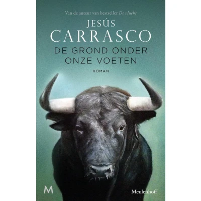 Afbeelding van De grond onder onze voeten