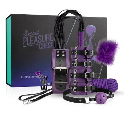 Afbeelding van Secret Pleasure Chest Purple Apprentice