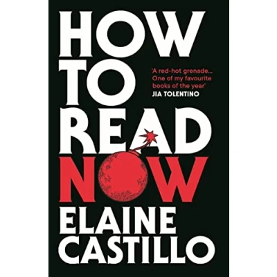 Afbeelding van How to Read Now
