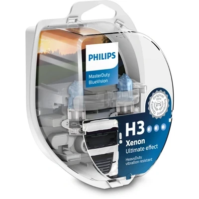 Afbeelding van Philips Gloeilamp mistlicht 13336MDBVS2