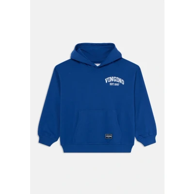 Afbeelding van Vingino ICON Hoody Hoodie voor kinderen, Maat: 152, Dolomite blue