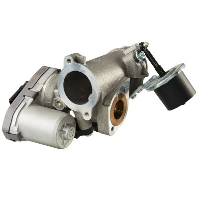 Afbeelding van Hella EGR klep 6NU 010 171