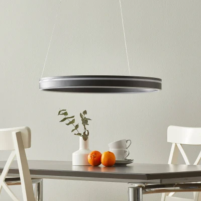 Afbeelding van Paul Neuhaus Q VITO LED hanglamp 59cm antraciet