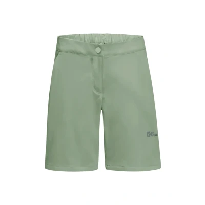 Afbeelding van Jack Wolfskin Alpine Outdoorshorts, Heren, Maat: 40, Eucalyptus