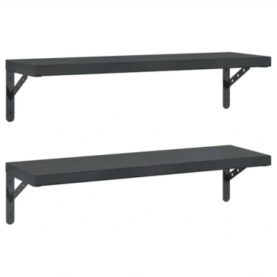 Afbeelding van vidaXL Wandschappen 2 st 75x23,5 cm roestvrijstaal zwart