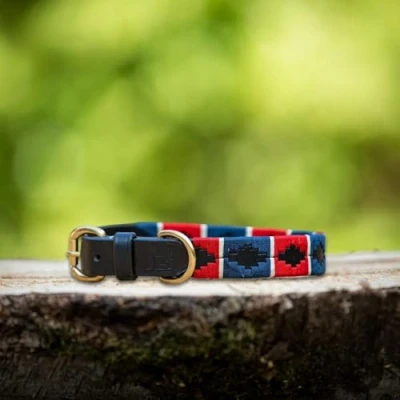 Afbeelding van Leren halsband met lijn Polo print Rood Wit Blauw maat XS MTB Equestrian