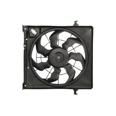 Afbeelding van THERMOTEC D80507TT Radiator Ventilator 420 12 192 Met ventilatorraamwerk HYUNDAI: i30 I Hatchback