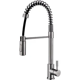 Afbeelding van Wiesbaden 304 Floyd RVS Keukenkraan professional met handdouche