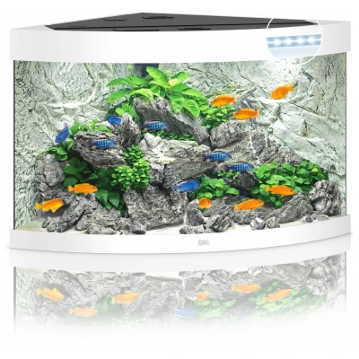 Afbeelding van Juwel Aquarium Trigon 190 Led 70x70x60 cm Aquaria Wit Ca. L