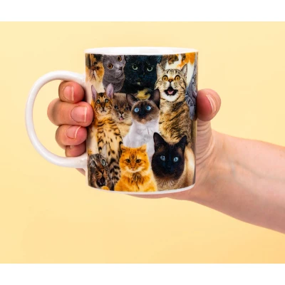 Afbeelding van Crazy Cat Mok
