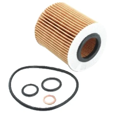 Afbeelding van ASHIKA 10 ECO079 Oliefilter Filter insert BMW: 3 Touring, Saloon, 5 Saloon