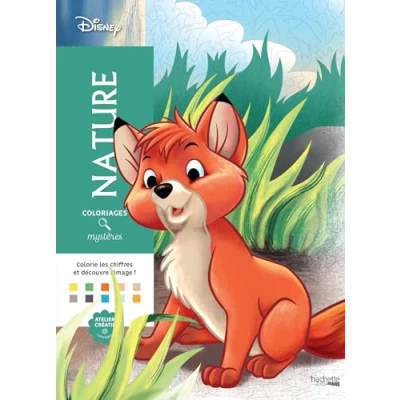 Afbeelding van Coloriages Mystères Disney Nature Kleuren op nummer Hachette Kleurboek voor volwassenen