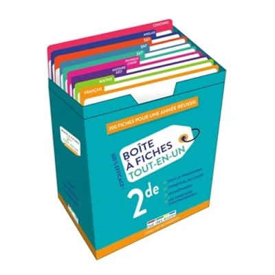 Afbeelding van MON ANNEE EN FICHES 2DE 200 POUR UNE REUSSIE