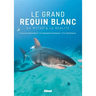 Image de Le grand requin blanc