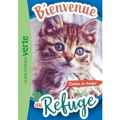 Image de Bienvenue au refuge 01 Chaton en danger