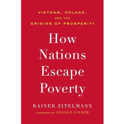 Afbeelding van How Nations Escape Poverty