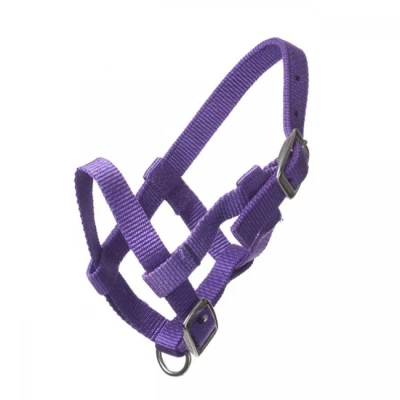 Image de HB Licol Nylon Violet Poulain Miniature