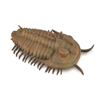 Afbeelding van Collecta Speeldier Prehistorie Trilobieten 9,5 Cm Abs Bruin