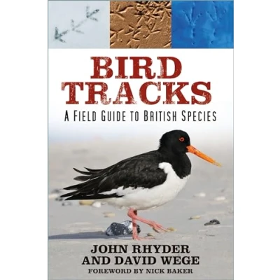 Afbeelding van Bird Tracks