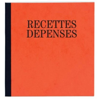 Image de Recettes Dépenses Exacompta 32x19,5cm piqûre 80p