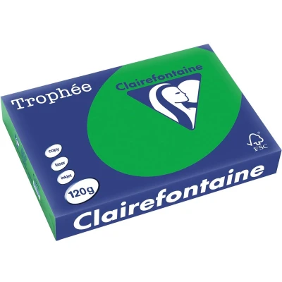 Afbeelding van Clairefontaine Trophée Intens, Gekleurd Papier, A4, 120 G, 250 Vel, Bijartgroen Papier