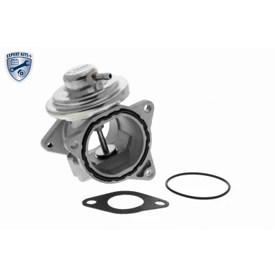 Afbeelding van Vemo EGR klep V10 63 0011 1