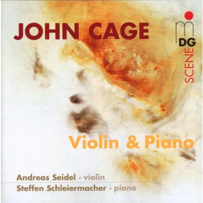Afbeelding van Andreas Seidel &amp; Steffen Schleiermacher Werke Für Violine Und Klavier (CD)
